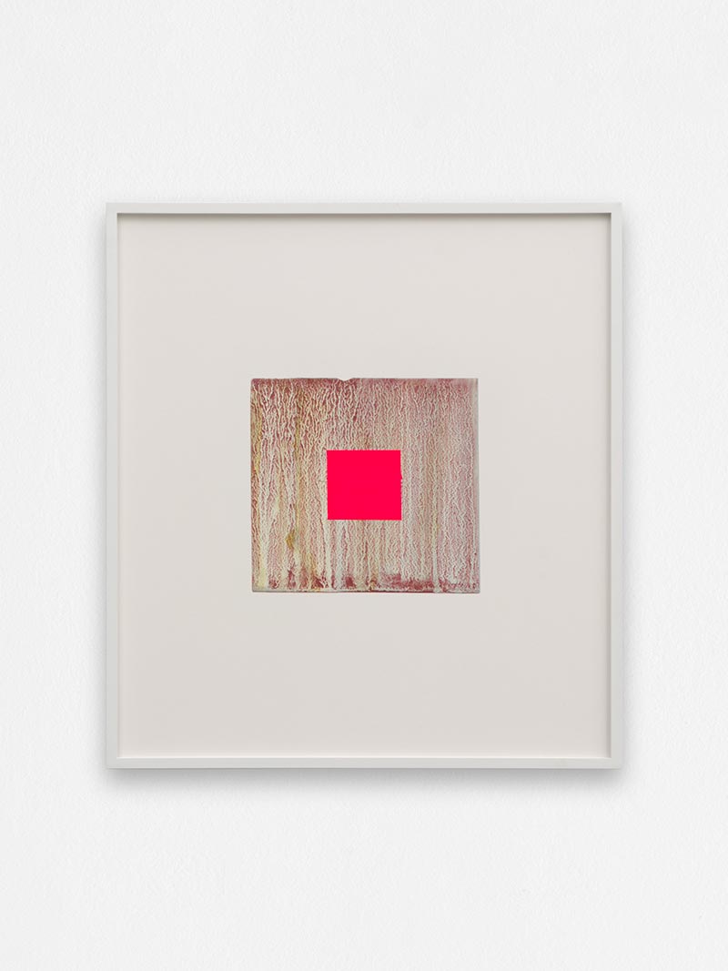 Emmanuel Van der Meulen