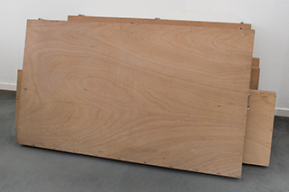 Le Syndrome de Bonnard